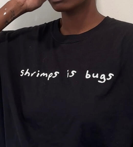 Shrimps is Bugs