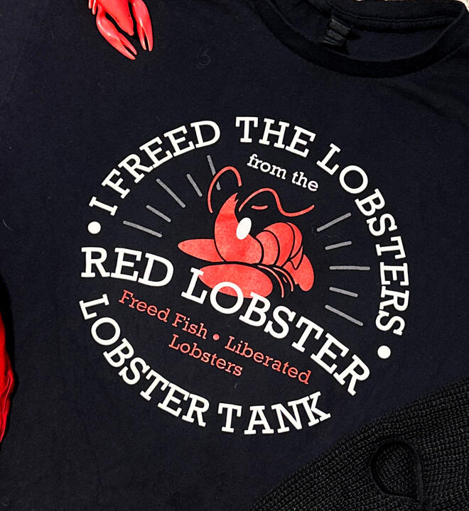I Freed the Lobsters